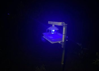 Inovasi Anak Balangan! ECOGUARD LIGHT TRAP Jadi Solusi Pengendalian Hama Tanpa Pestisida