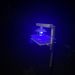 Inovasi Anak Balangan! ECOGUARD LIGHT TRAP Jadi Solusi Pengendalian Hama Tanpa Pestisida