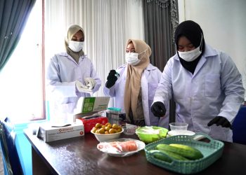 DKP3 Balangan Pastikan Bahan Baku Program MBG Aman, Seluruh Sampel PSAT Negatif Residu Pestisida