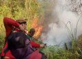 Tahura Sultan Adam Terbakar, Tim Gabungan Kerahkan Water Bombing hingga Motor Trail