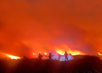 Karhutla di Banjar dan Batola Jadi Perhatian, BPBD Banjarmasin Kerahkan Personel