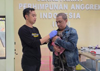 DKP3 Banjarmasin Perkuat Pencegahan Rabies Lewat Vaksinasi Hewan Peliharaan