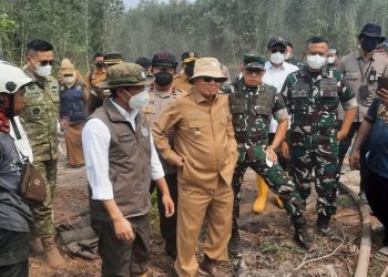 Tinjau Liang Anggang, Menhut Raja Antoni Apresiasi Penanganan Karhutla di Kalsel